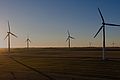 Windräder vor dem Sonnenuntergang